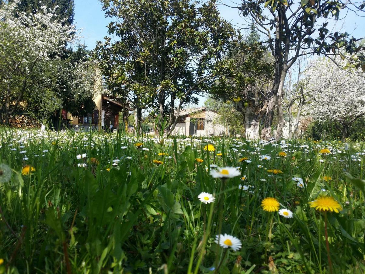 R&B Albero Cavo Parma Bed & Breakfast Exterior photo